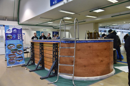 Лестница ЛАГУНА  4 ступени для бассейна высотой 1,25 м AISI-304